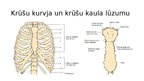 Презентация 'Iegurņa kaula lūzumi, iegurņa stabilizācijas tehnikas. Krūšu kurvja, krūšu kaula', 36.