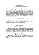 Конспект 'Pilskalni Latgalē', 13.