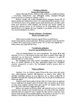 Конспект 'Pilskalni Latgalē', 17.