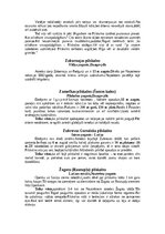 Конспект 'Pilskalni Latgalē', 18.