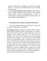 Реферат 'SIA "Amadora" uzņēmuma dibināšanas process', 12.