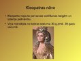 Презентация 'Kleopatra VII', 6.
