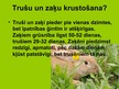 Презентация 'Trušu selekcija Latvijā', 3.