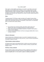 Эссе 'Dzīves mirkļi', 1.