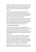 Конспект 'Latviešu valoda: struktūra, vēsture un nozīme mūsdienu sabiedrībā', 7.