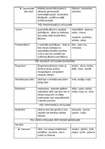 Образец документа 'Vārdu krājums', 2.