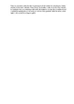 Образец документа 'Vārdu krājums', 7.