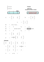 Конспект 'Dubultās matricas kalkulators - matricu metode', 1.