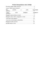 Отчёт по практике 'Pirmsskolas skolotāja pedagoģijas prakses atskaite', 4.