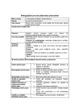 Отчёт по практике 'Pirmsskolas skolotāja pedagoģijas prakses atskaite', 19.