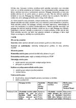 Отчёт по практике 'Pirmsskolas skolotāja pedagoģijas prakses atskaite', 29.