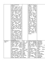 Отчёт по практике 'Pirmsskolas skolotāja pedagoģijas prakses atskaite', 32.