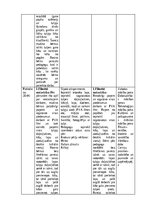 Отчёт по практике 'Pirmsskolas skolotāja pedagoģijas prakses atskaite', 56.