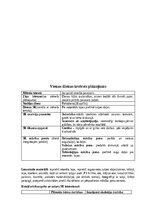 Отчёт по практике 'Pirmsskolas skolotāja pedagoģijas prakses atskaite', 64.