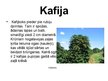 Презентация 'Kafija', 1.