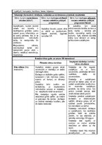 Отчёт по практике 'Rotaļnodarbības konspekts', 2.