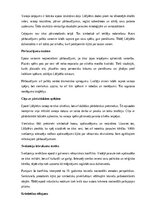 Конспект 'A.Pumpura eposs “Lāčplēsis”', 9.