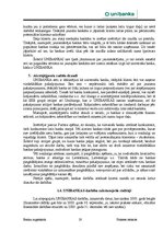 Отчёт по практике 'AS "Latvijas Unibanka" Liepājas filiāle', 20.