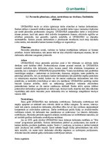 Отчёт по практике 'AS "Latvijas Unibanka" Liepājas filiāle', 36.