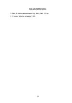 Отчёт по практике 'Aktīvā mācību un audzināšanas prakse pirmsskolā I', 19.