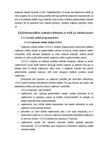 Дипломная 'Konkurence informācijas tehnoloģiju risinājumu - grāmatvedības uzskaites sistēmu', 39.