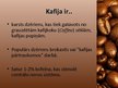 Презентация 'Kafija', 2.