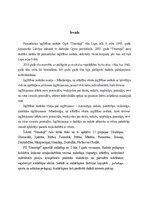 Отчёт по практике 'Pirmsskolas izglītības prakse', 3.