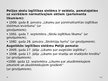 Презентация 'Latvijas un Polijas izglītības sistēmu salīdzinājums', 4.