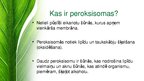 Презентация 'Peroksisomas - bioloģija', 2.