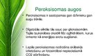 Презентация 'Peroksisomas - bioloģija', 4.