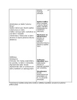 Конспект 'Matemātiskās rotaļnodarbības', 7.