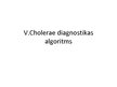 Презентация 'V.Cholerae diagnostikas algoritms', 1.