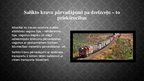 Презентация 'Dzelzceļa transporta kravu pārvadājumi', 16.