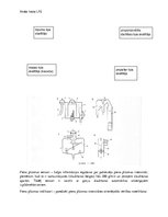 Образец документа 'Izslauktā piena uzskaite', 2.