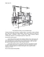 Образец документа 'Izslauktā piena uzskaite', 4.
