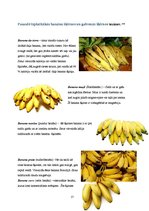 Реферат 'Pētnieciskais darbs pārtikas ķīmijā. Āboli un banāni', 17.
