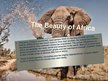 Презентация 'The Beauty of Africa', 2.