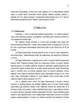 Реферат 'Francijas eksporta vides analīze A/S "Rīgas Piensaimnieks" produktam - šokolādes', 21.