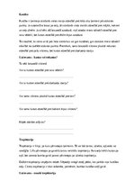 Образец документа 'Fizika – spēki, kustība, gaisma un enerģija', 3.