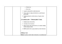 Образец документа '"Stundas plāni""
Valodas lietojums un lasīšana 1.klasē', 16.