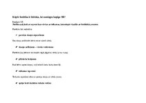 Образец документа '"Stundas plāni""
Valodas lietojums un lasīšana 1.klasē', 22.