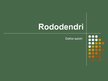 Презентация 'Rododendri', 1.