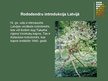 Презентация 'Rododendri', 7.