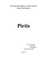 Реферат 'Pirtis', 1.