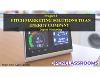 Реферат 'Pitch Marketing Solutions to an Energy Company', 21.