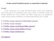 Презентация 'Cilvēka cieņas filozofiskie pamati un aizsardzība mūsdienās', 1.