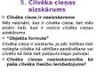 Презентация 'Cilvēka cieņas filozofiskie pamati un aizsardzība mūsdienās', 6.