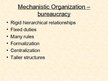 Презентация 'Basic Organization Designs', 14.
