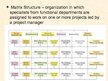 Презентация 'Basic Organization Designs', 18.