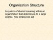 Презентация 'Basic Organization Designs', 19.